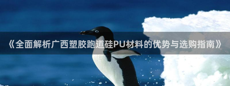 红足i世足球手机网：《全面解析广西塑胶跑道硅PU材料的优势与选购指南》