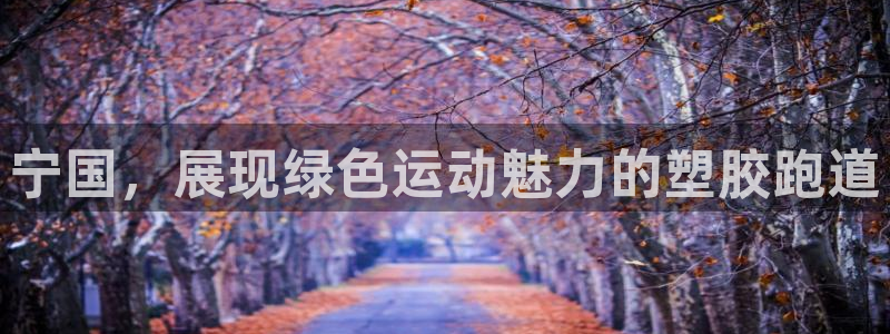 红足一1世77814：宁国，展现绿色运动魅力的塑胶跑道