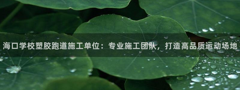 红足一球：海口学校塑胶跑道施工单位：专业施工团队，打造高品质运动场地