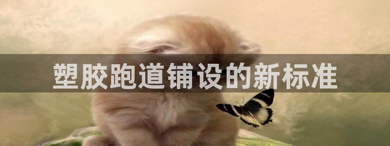红足一一世：塑胶跑道铺设的新标准