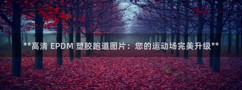 红足一1世比分：**高清 EPDM 塑胶跑道图片：您的运动场完美升级**