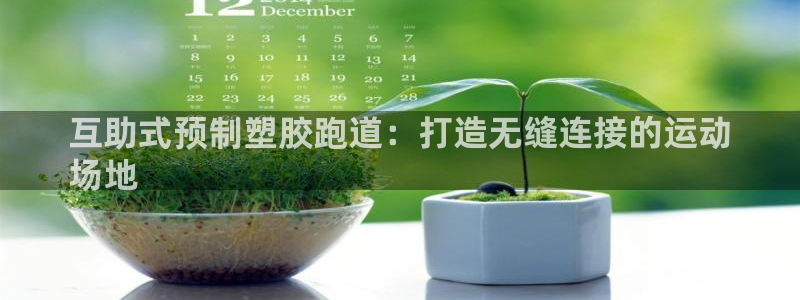66814红足一66814世：互助式预制塑胶跑道：打造无缝连接的运动
场地