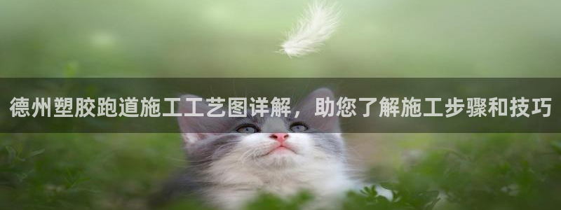 红足1世1站2站管理网：德州塑胶跑道施工工艺图详解，助您了解施工步骤和技巧