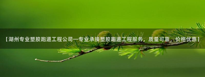 红足一生世：【湖州专业塑胶跑道工程公司—专业承接塑胶跑道工程服务，质量可靠，价格优惠】