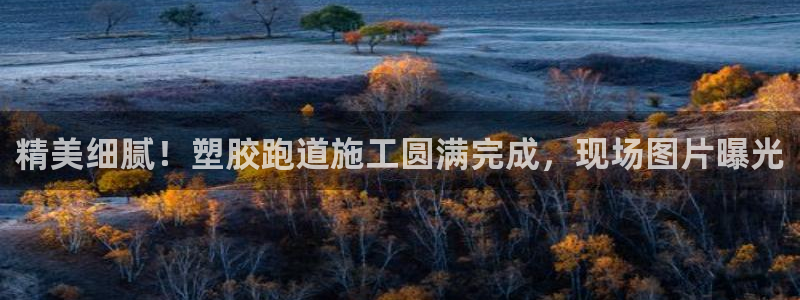 新2足球平台出租网站：精美细腻！塑胶跑道施工圆满完成，现场图片曝光
