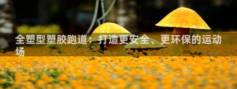 66814红足：全塑型塑胶跑道：打造更安全、更环保的运动
场