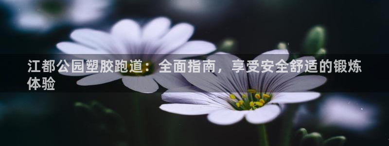 44814红足：江都公园塑胶跑道：全面指南，享受安全舒适的锻炼
体验