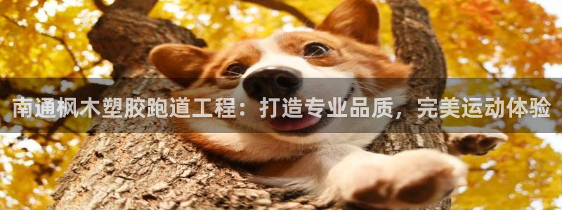 红足l一世开奖现场62ty：南通枫木塑胶跑道工程：打造专业品质，完美运动体验