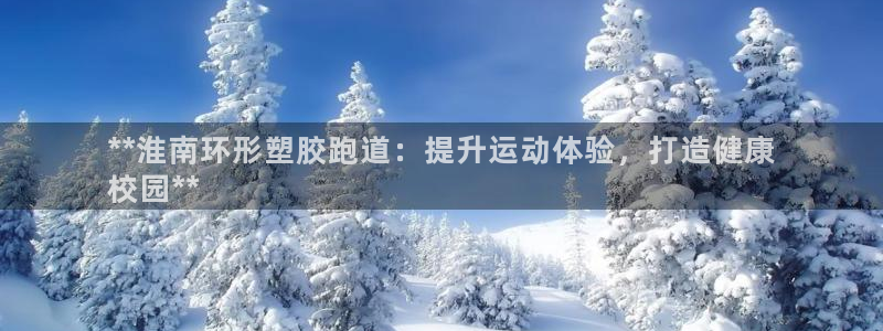 红足一1世66814新宝：**淮南环形塑胶跑道：提升运动体验，打造健康
校园**