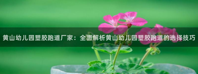 红足一1世平台：黄山幼儿园塑胶跑道厂家：全面解析黄山幼儿园塑胶跑道的选择技巧