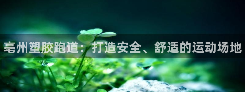 红足一1世官网足球推荐真人