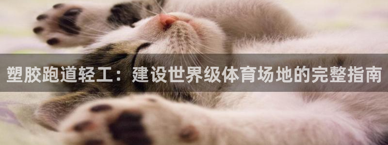 红足一生世：塑胶跑道轻工：建设世界级体育场地的完整指南