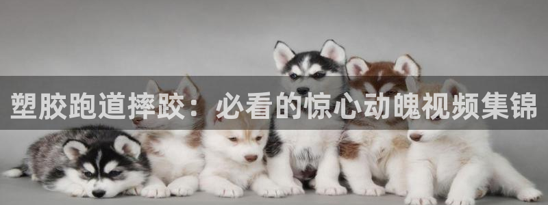 红足1世手机版下载：塑胶跑道摔跤：必看的惊心动魄视频集锦