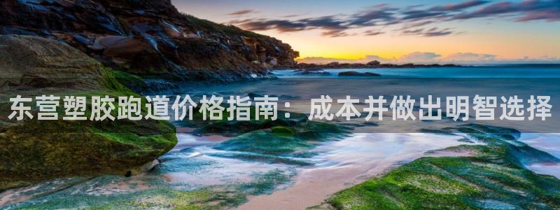 77814红足1世：东营塑胶跑道价格指南：成本并做出明智选择