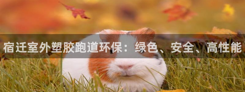 百度红足一1使用说明：宿迁室外塑胶跑道环保：绿色、安全、高性能