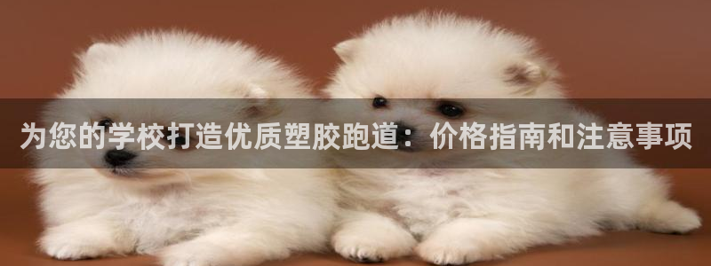 红足一1世666814足球：为您的学校打造优质塑胶跑道：价格指南和注意事项