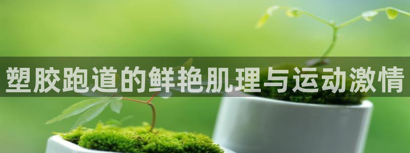 红足一1世官网足球推荐真人：塑胶跑道的鲜艳肌理与运动激情