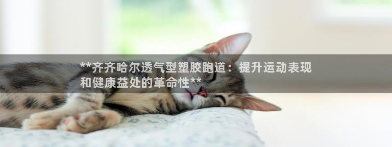 红足一1世66814：**齐齐哈尔透气型塑胶跑道：提升运动表现
和健康益处的革命性**