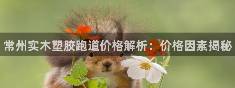 777814红·足一世：常州实木塑胶跑道价格解析：价格因素揭秘