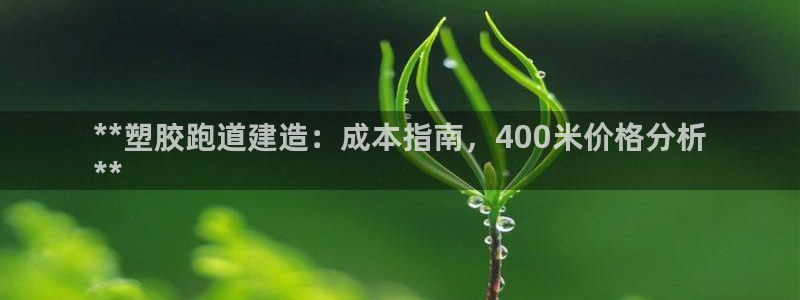 红足1一世：**塑胶跑道建造：成本指南，400米价格分析
**