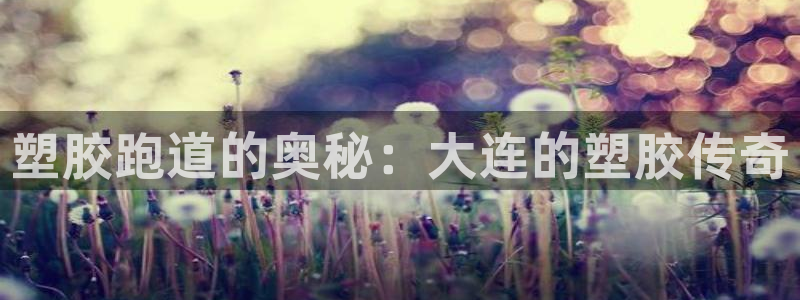 777814红·足一世比分：塑胶跑道的奥秘：大连的塑胶传奇
