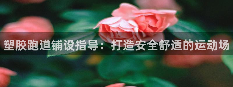 777814红·足一世：塑胶跑道铺设指导：打造安全舒适的运动场