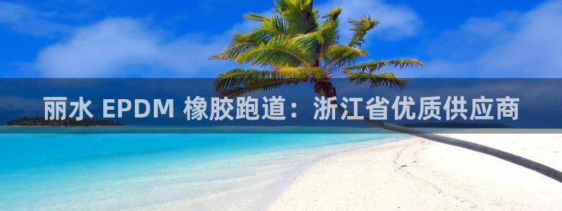 红足一1世：丽水 EPDM 橡胶跑道：浙江省优质供应商