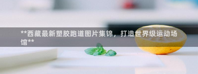 百度红足一1使用说明