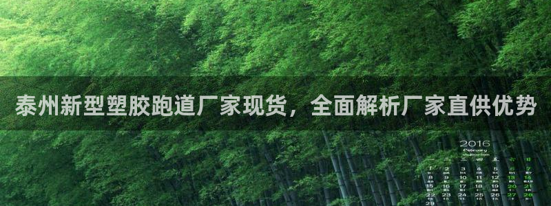百度红足一1是为什么：泰州新型塑胶跑道厂家现货，全面解析厂家直供优势