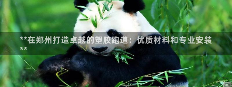 新2足球平台出租网站：**在郑州打造卓越的塑胶跑道：优质材料和专业安装
**