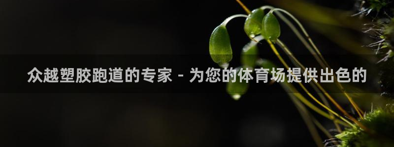 红足一1世比分网：众越塑胶跑道的专家 - 为您的体育场提供出色的