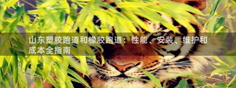 红足一1世666814足球比分网：山东塑胶跑道和橡胶跑道：性能、安装、维护和
成本全指南