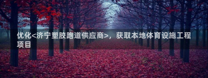 红足足球网：优化<济宁塑胶跑道供应商>，获取本地体育设施工程
项目