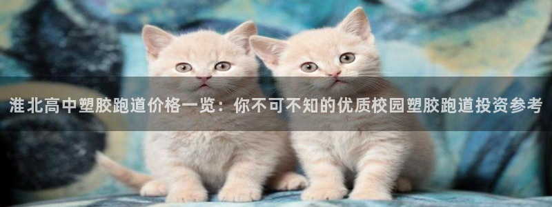 红足l一世开奖现场62ty：淮北高中塑胶跑道价格一览：你不可不知的优质校园塑胶跑道投资参考