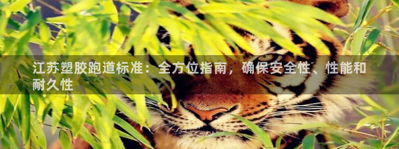 红足1一世开奖版：江苏塑胶跑道标准：全方位指南，确保安全性、性能和
耐久性
