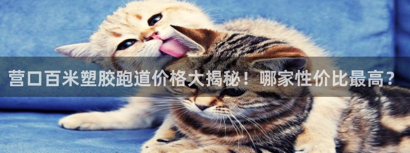 777814红·足一世比分：营口百米塑胶跑道价格大揭秘！哪家性价比最高？