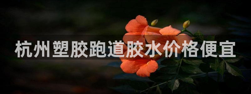 777814红·足一世：杭州塑胶跑道胶水价格便宜