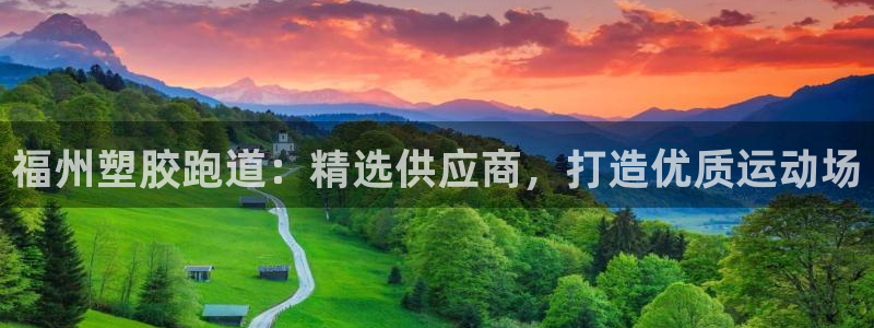 百度红足一1是什么样子的：福州塑胶跑道：精选供应商，打造优质运动场
