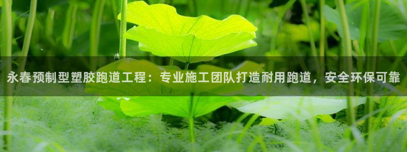 红足一一世：永春预制型塑胶跑道工程：专业施工团队打造耐用跑道，安全环保可靠