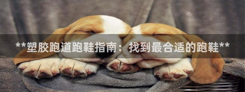百度红足一1使用说明：**塑胶跑道跑鞋指南：找到最合适的跑鞋**