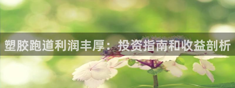 红足足球网：塑胶跑道利润丰厚：投资指南和收益剖析
