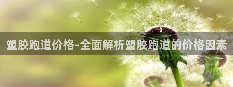 红足1世官网：塑胶跑道价格-全面解析塑胶跑道的价格因素