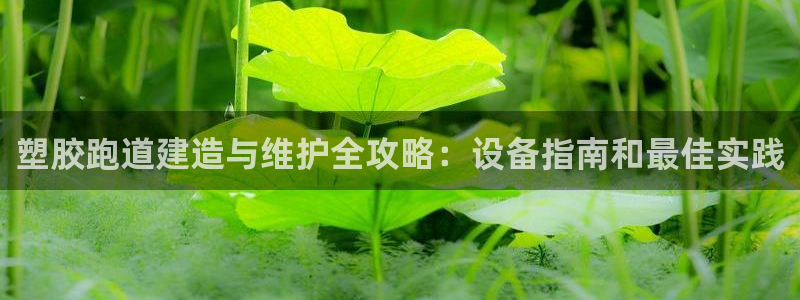 红足一1世比分：塑胶跑道建造与维护全攻略：设备指南和最佳实践