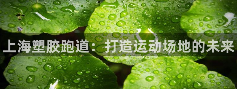 红足1世手机板：上海塑胶跑道：打造运动场地的未来