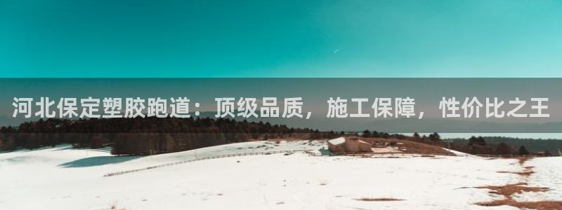 红足1世1站2站管理网：河北保定塑胶跑道：顶级品质，施工保障，性价比之王