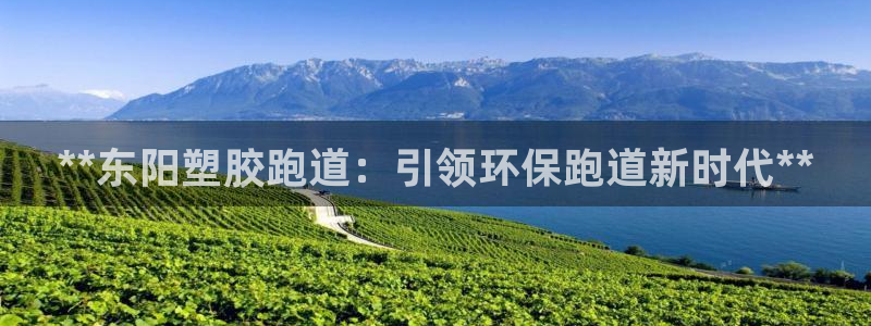 百度红足一1是干什么的：**东阳塑胶跑道：引领环保跑道新时代**