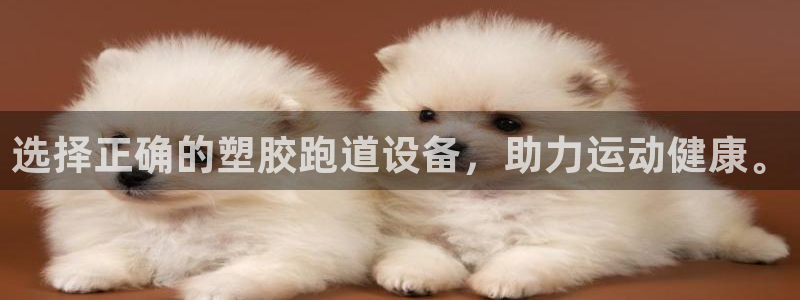 红足l一世开奖现场62ty：选择正确的塑胶跑道设备，助力运动健康。