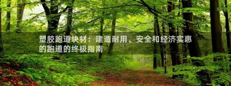 红足一1世比分网：塑胶跑道块材：建造耐用、安全和经济实惠
的跑道的终极指南