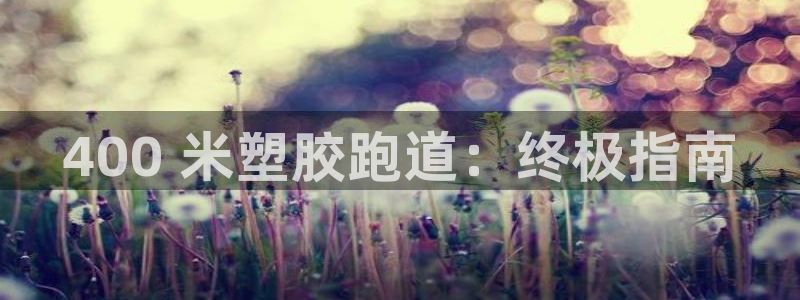 红足i世足球手机网：400 米塑胶跑道：终极指南