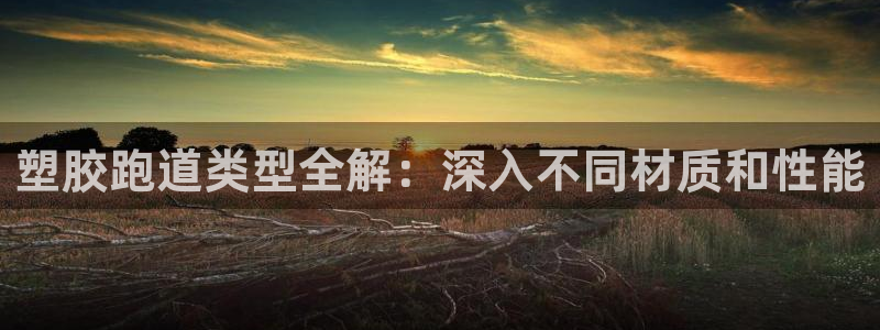 红足一1世手机版赛果：塑胶跑道类型全解：深入不同材质和性能